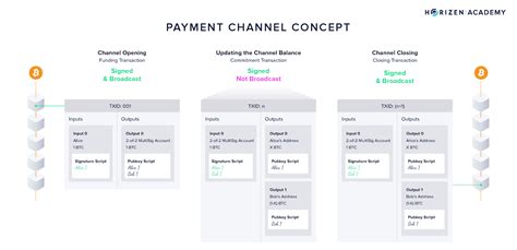 Payment Channels .